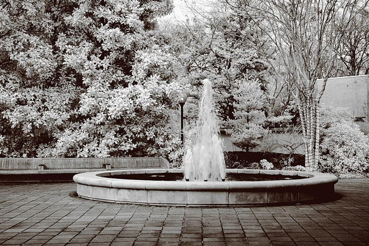 water fountain at a Georgia botanical garden - infrared photo